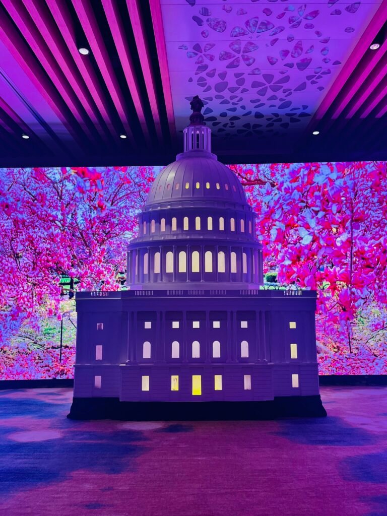 Capitol dome display framed by cherry blossom trees